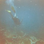  Lighthouse Reef, Belize